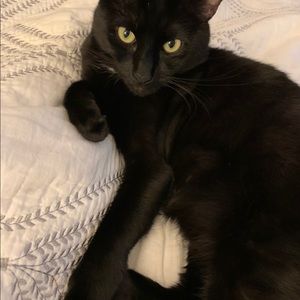 Meet your Posher, Kelly